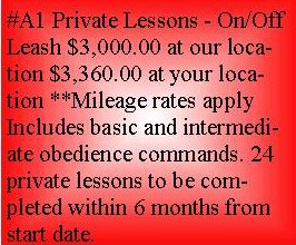 Private Lesson A1